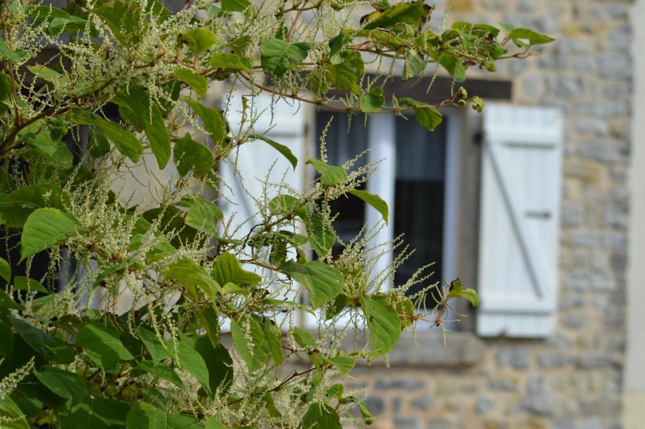 Proche De Sainte Mere-eglise Holiday home Neuville-au-Plain