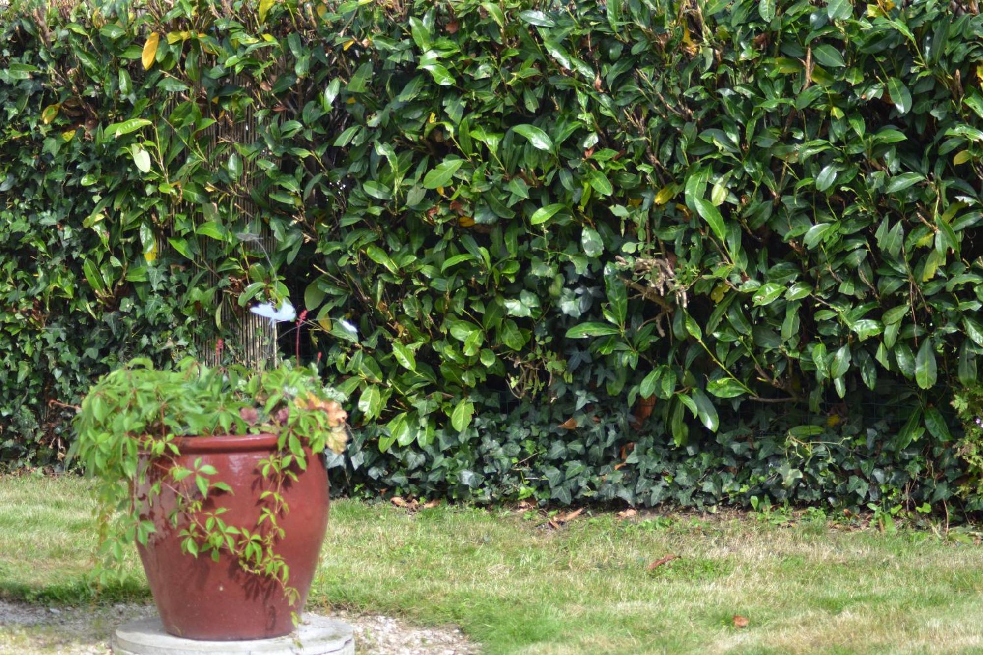 Proche De Sainte Mere-eglise Holiday home